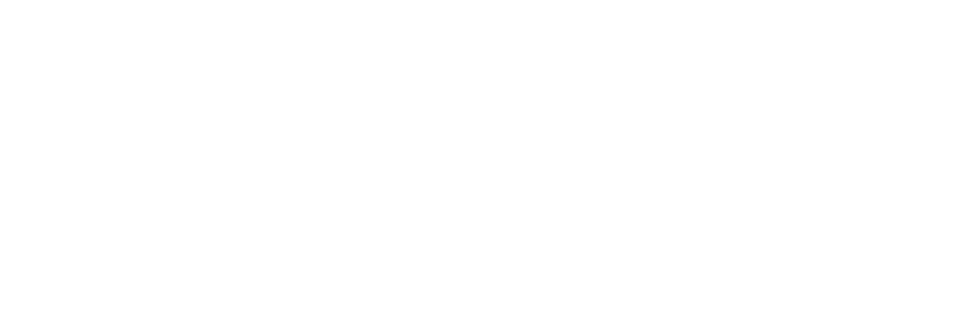 Schall_Logo_Weißgrau